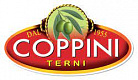 Oleificio Coppini Angelo S.p.a.