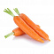 Морковь молодая 400-600г Фото №1 